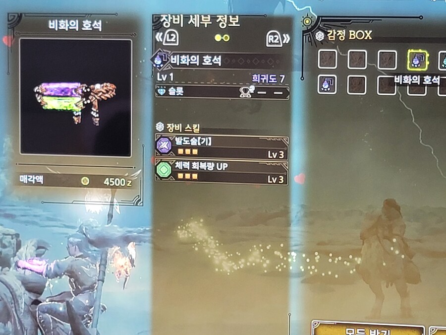 발납대검 호석이 나왔네요_1.jpg