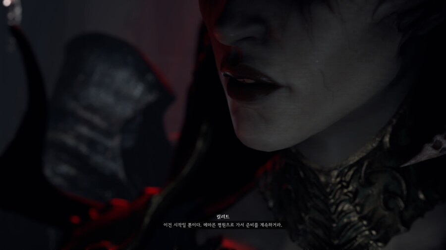 디아블로 IV_29.jpg