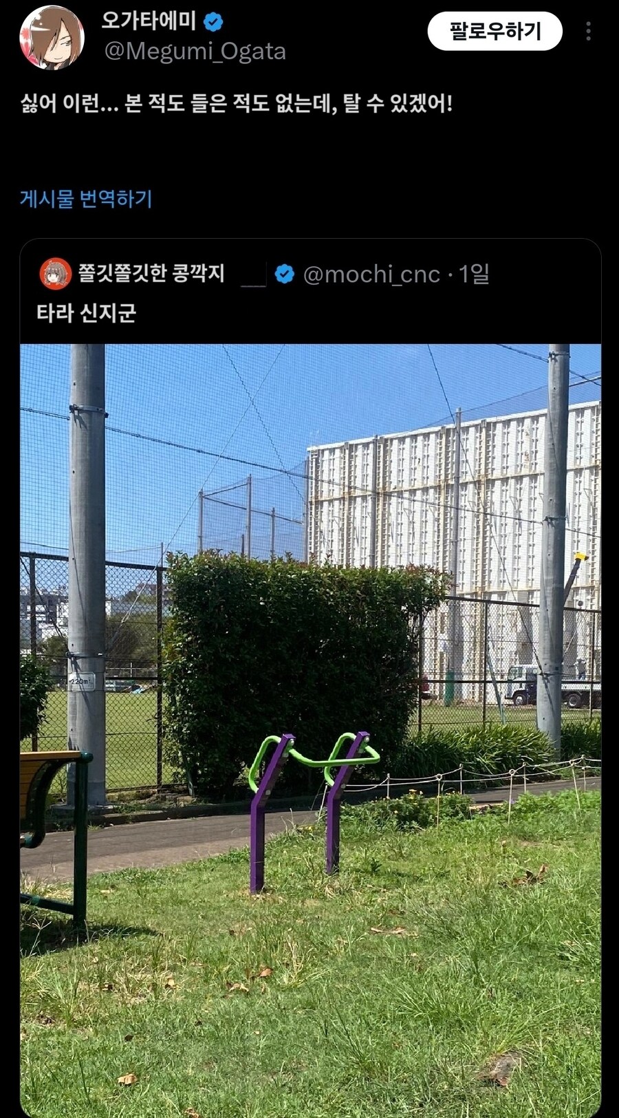타라 신지군_1.jpg
