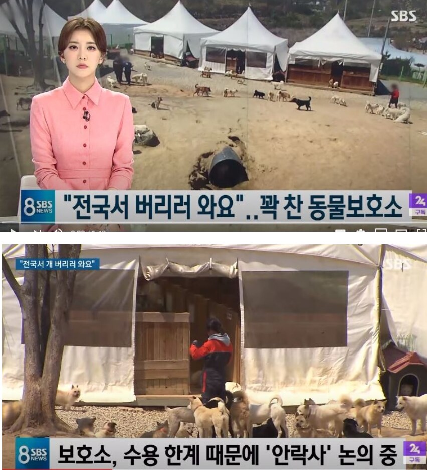 유기견 보호소 주소 안 숨기면 어떻게 되냐고??_1.png
