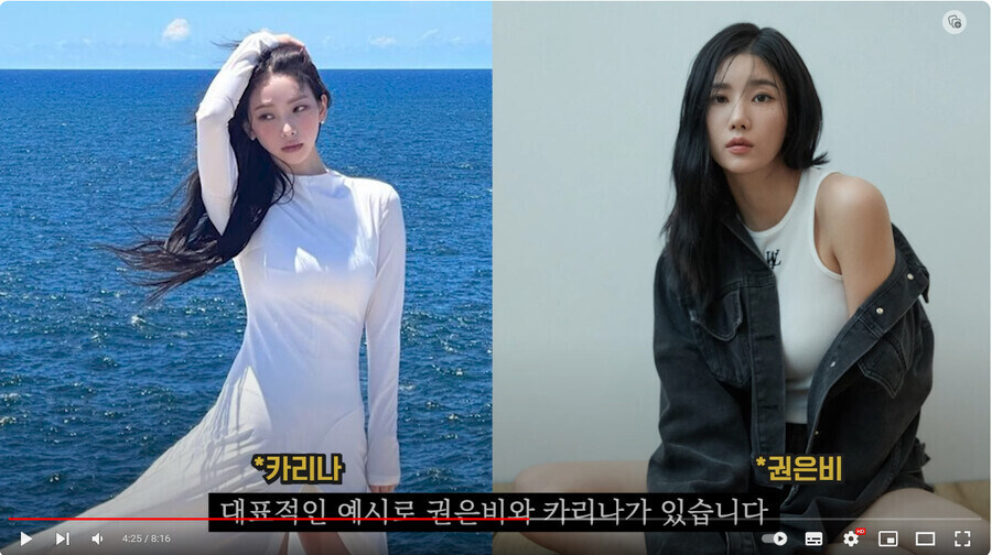 육덕 기준에 대해 듣고 빡친 여스트리머_2.jpg