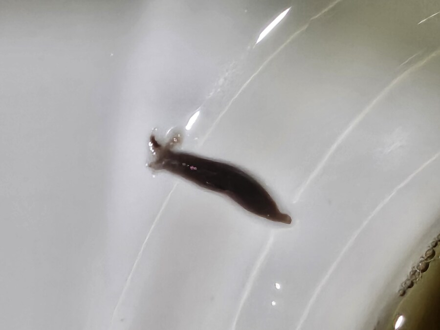 약혐)물을 많이 마셔야 하는 이유_1.jpg