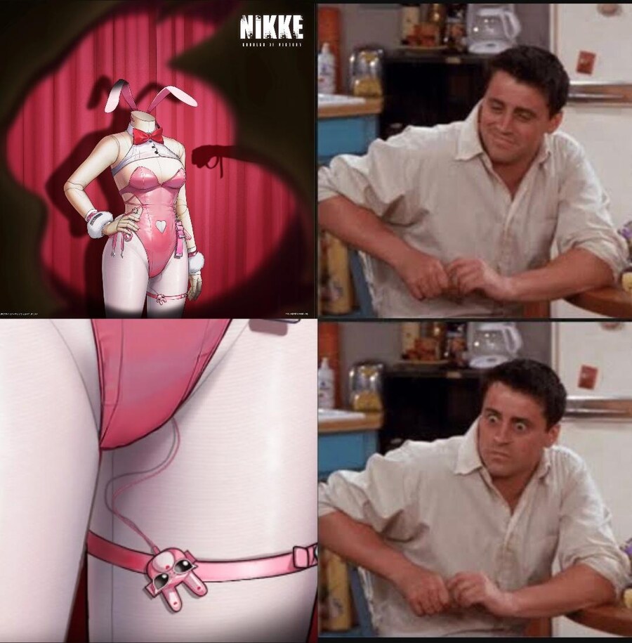 니케)바니걸 나올 때마다 논란인 사항_3.jpg