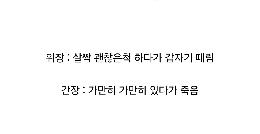 위장과 간의 차이점_2.webp