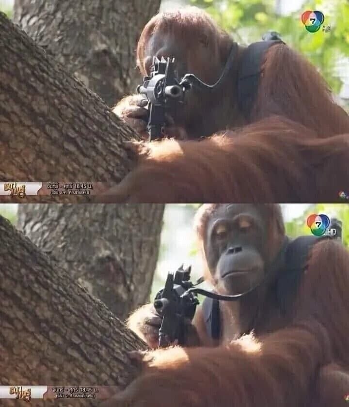 이봐 여긴 못생긴놈은 출입금지다_1.jpg