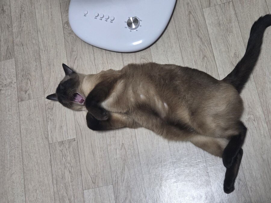 우리집 선풍기는 혼자서 전원이 켜졌다 꺼졌다 한다......_7.jpg