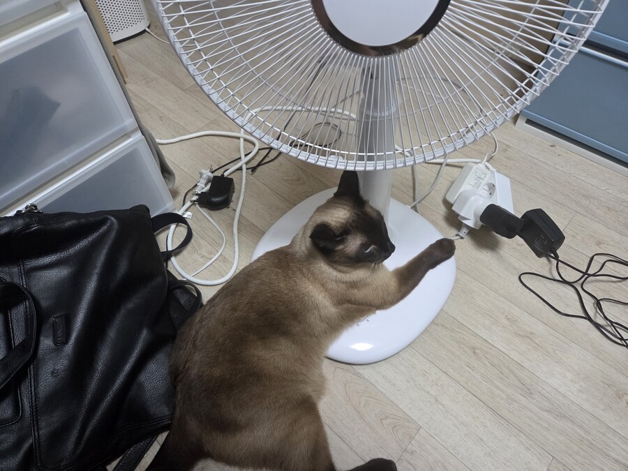 우리집 선풍기는 혼자서 전원이 켜졌다 꺼졌다 한다......_9.jpg