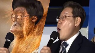 델몬트 오렌지주스 어릴 때는 신맛이 강하게 느껴져서 싫었는데_1.png