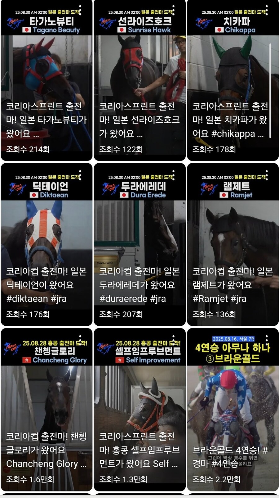 K-경마) 코리아컵 원정조 전원 도착_1.jpg