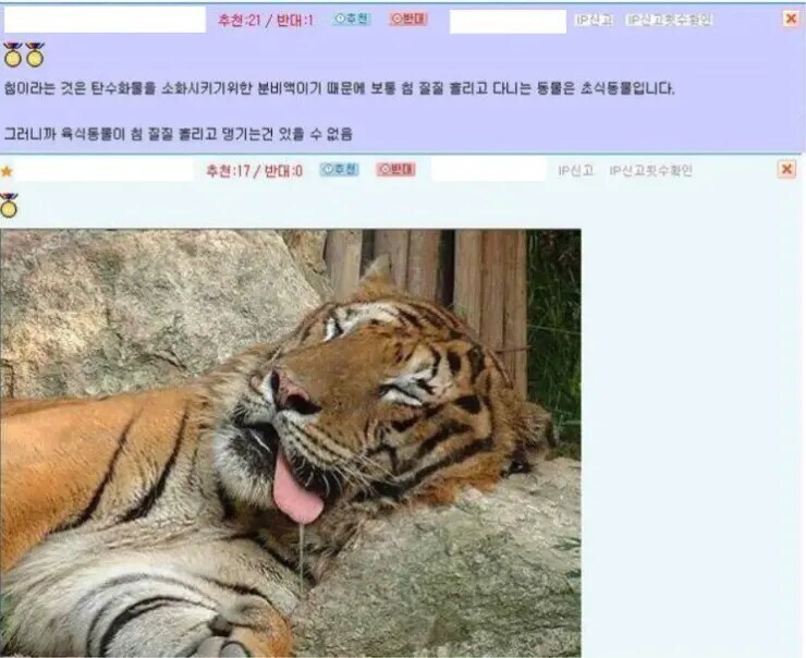 육식동물은 침을 흘릴 수가 없어요ㅋㅋ_1.png
