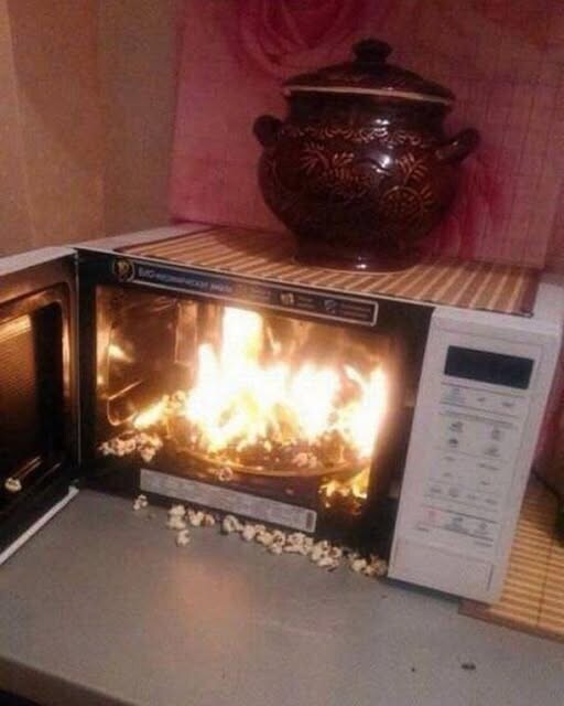 파리는 전자렌지 안에서도 안 죽는대.jpg_1.jpg