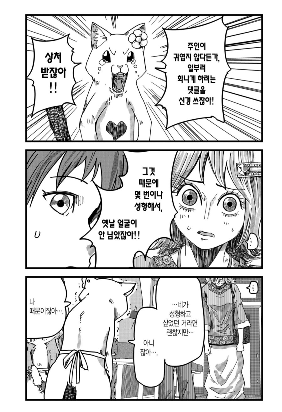 전직 아이돌 고양이의 슬픈 진실.manhwa_3.png