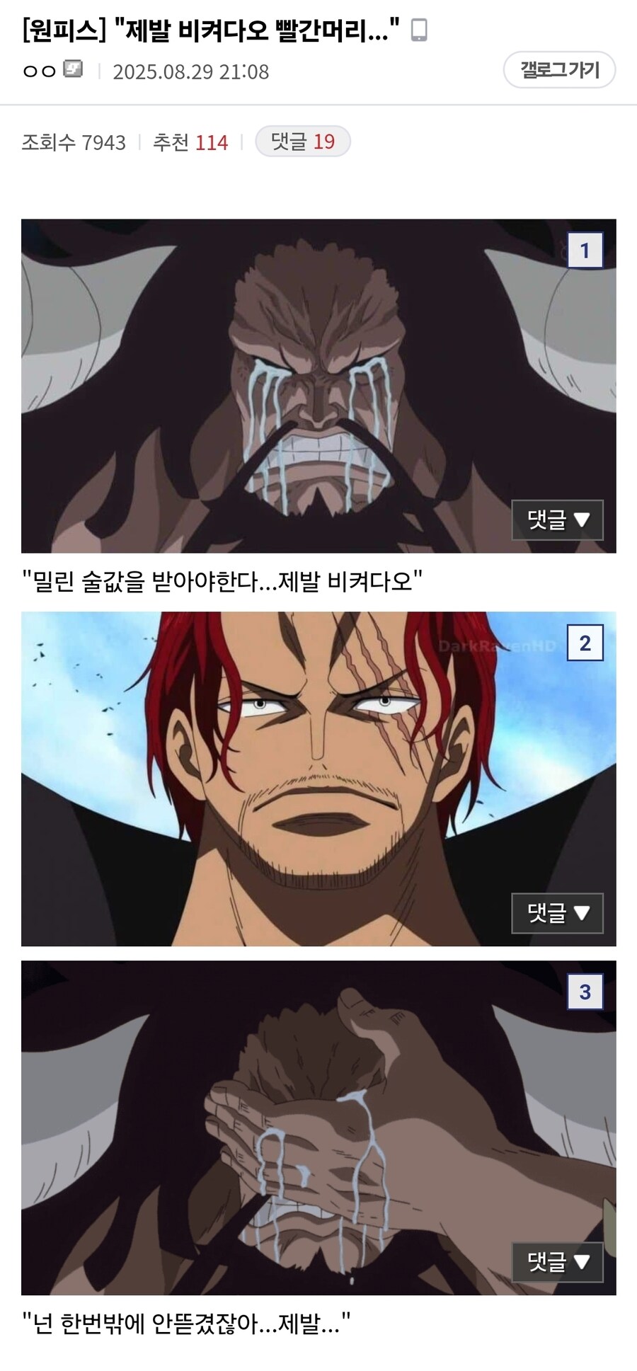 원피스 정산결전의 진실