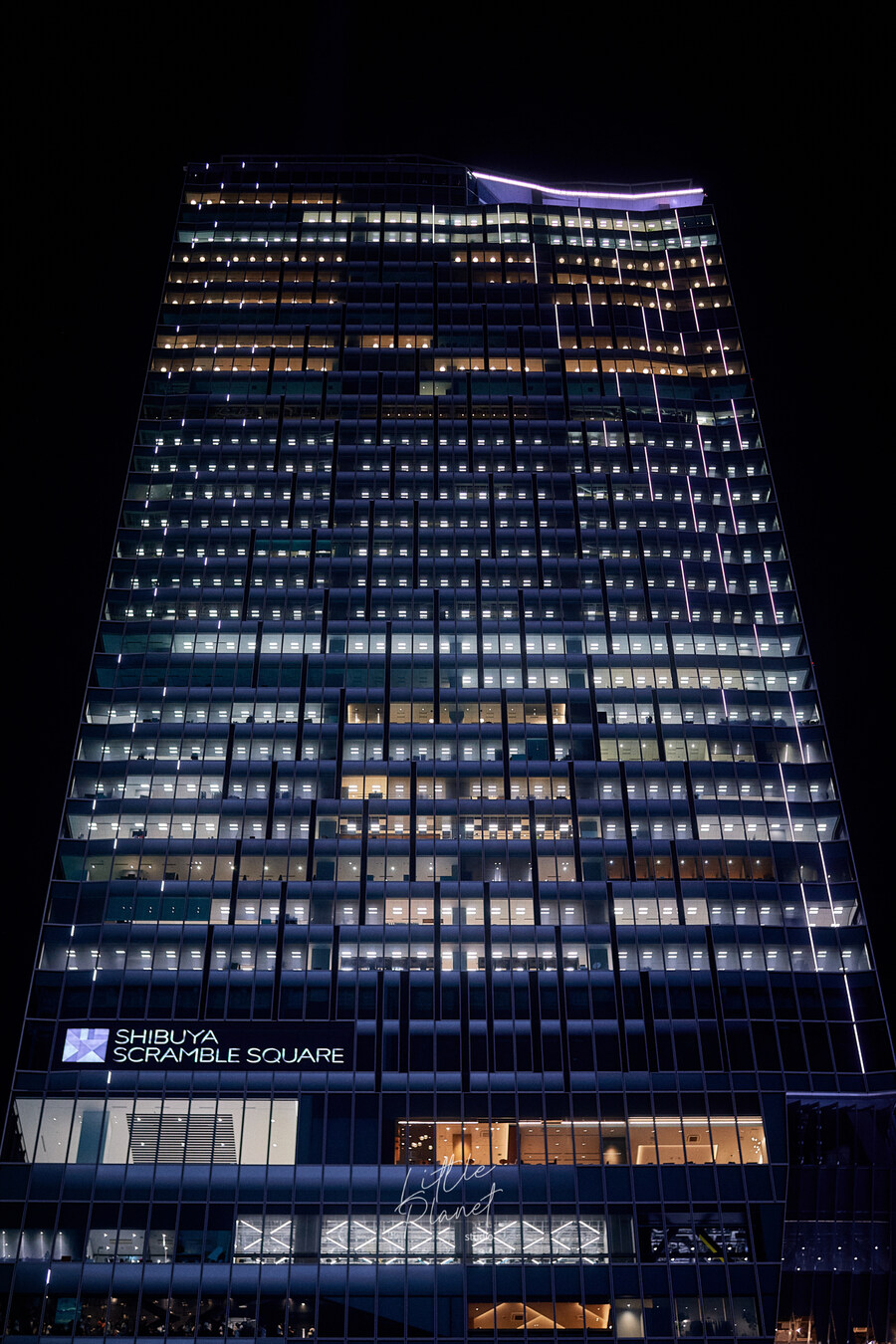 첫 일본, 한 여름의 도쿄 나들이 (스압)_56.jpg