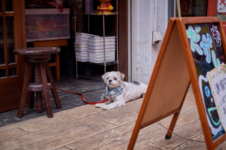 첫 일본, 한 여름의 도쿄 나들이 (스압)_78.jpg