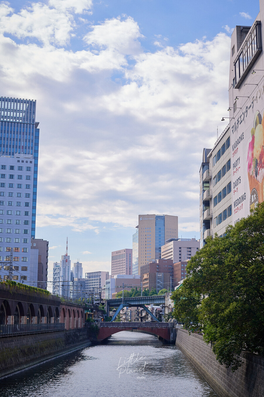 첫 일본, 한 여름의 도쿄 나들이 (스압)_104.jpg