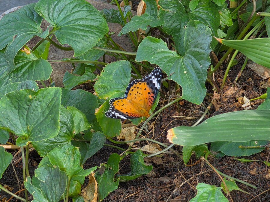 나들이 1 - 전주한옥마을 (스압주의)_13.png