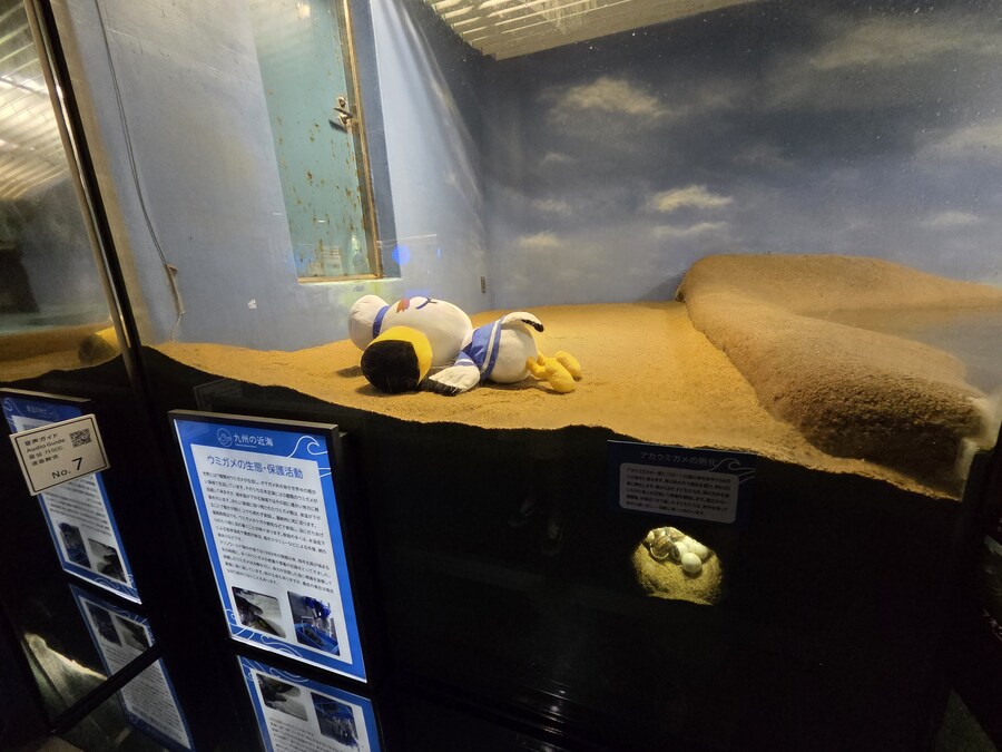 블루아카) 블루아카 때문에 후쿠오카 가는 놈이 어딨음(스압)_31.jpg