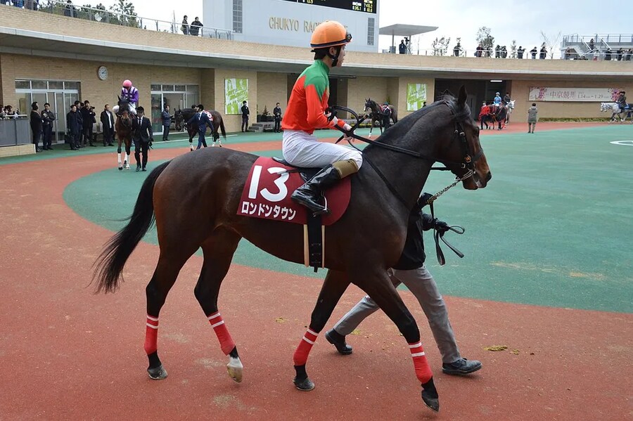 공식 말딸화 해줬으면 하는 경주마 TOP 30_7.png