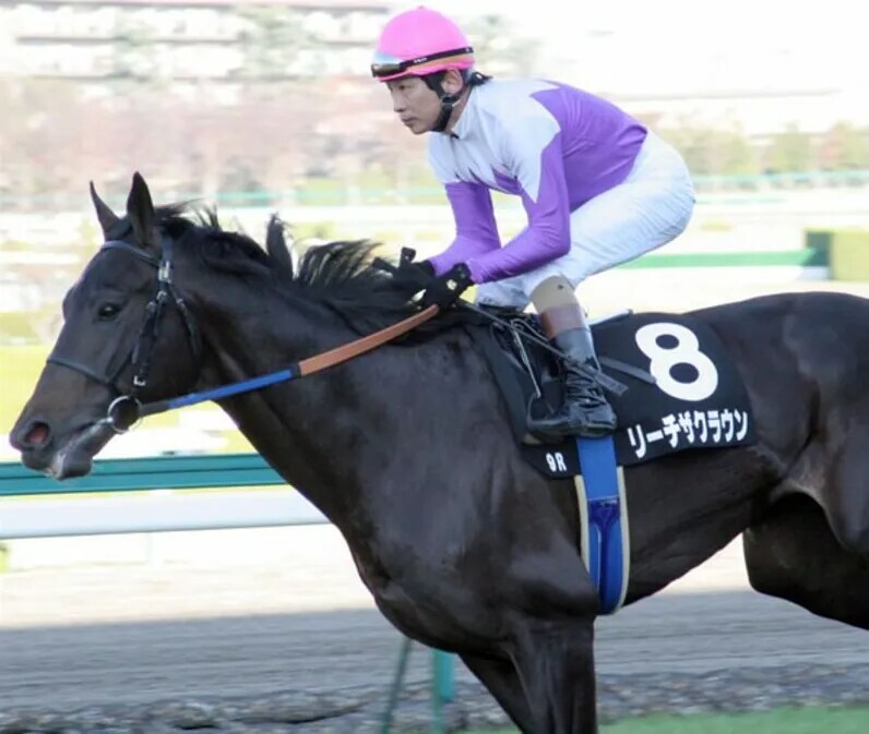 공식 말딸화 해줬으면 하는 경주마 TOP 30_9.png