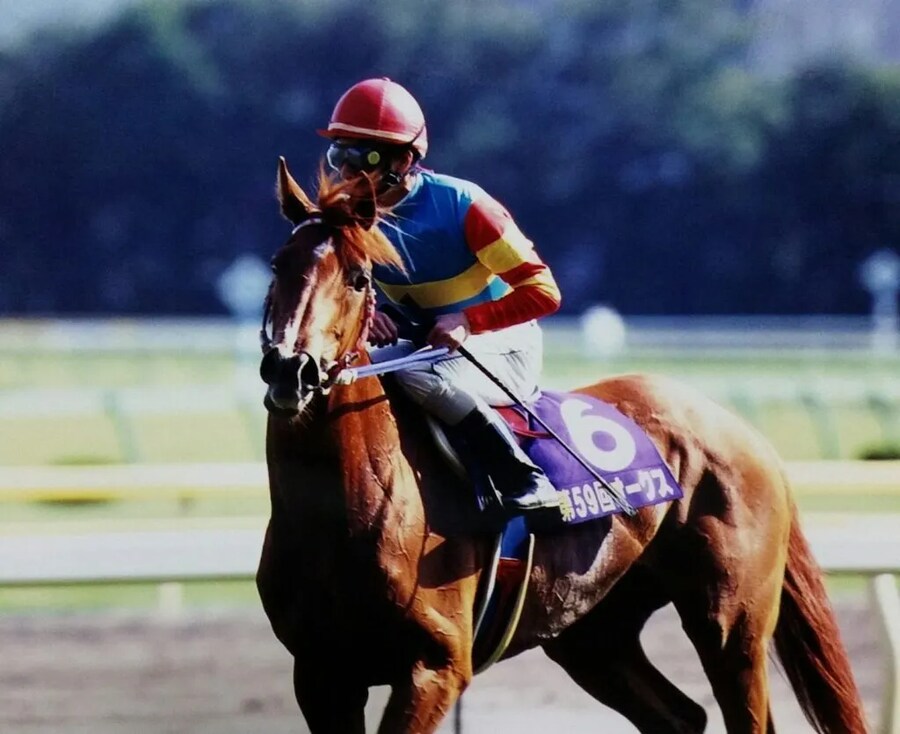 공식 말딸화 해줬으면 하는 경주마 TOP 30_14.png