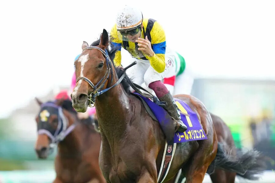 공식 말딸화 해줬으면 하는 경주마 TOP 30_24.png