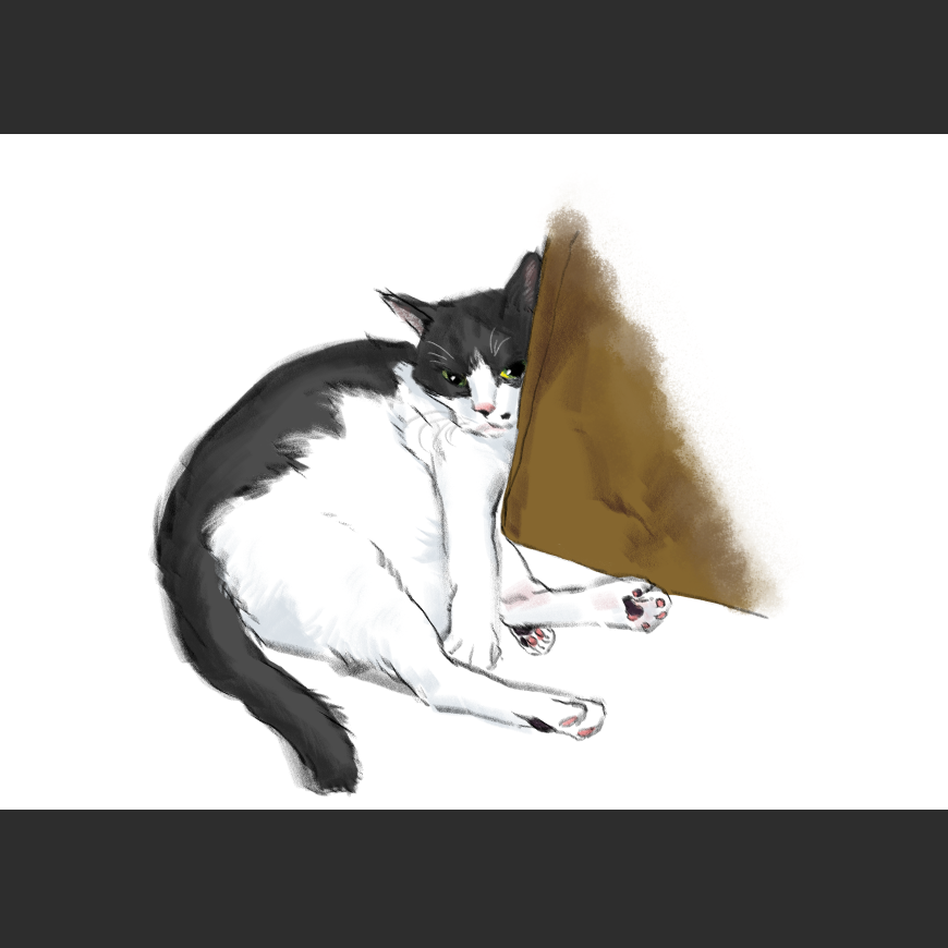 고양이) 넘으집 고양이_1.png