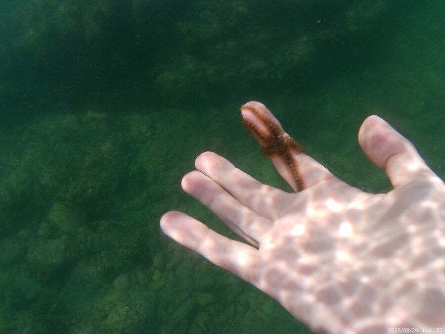 스압주의) 부산바다 스노클링 2탄_101.jpg