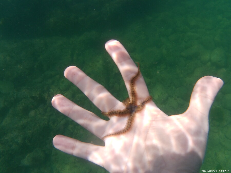 스압주의) 부산바다 스노클링 2탄_102.jpg