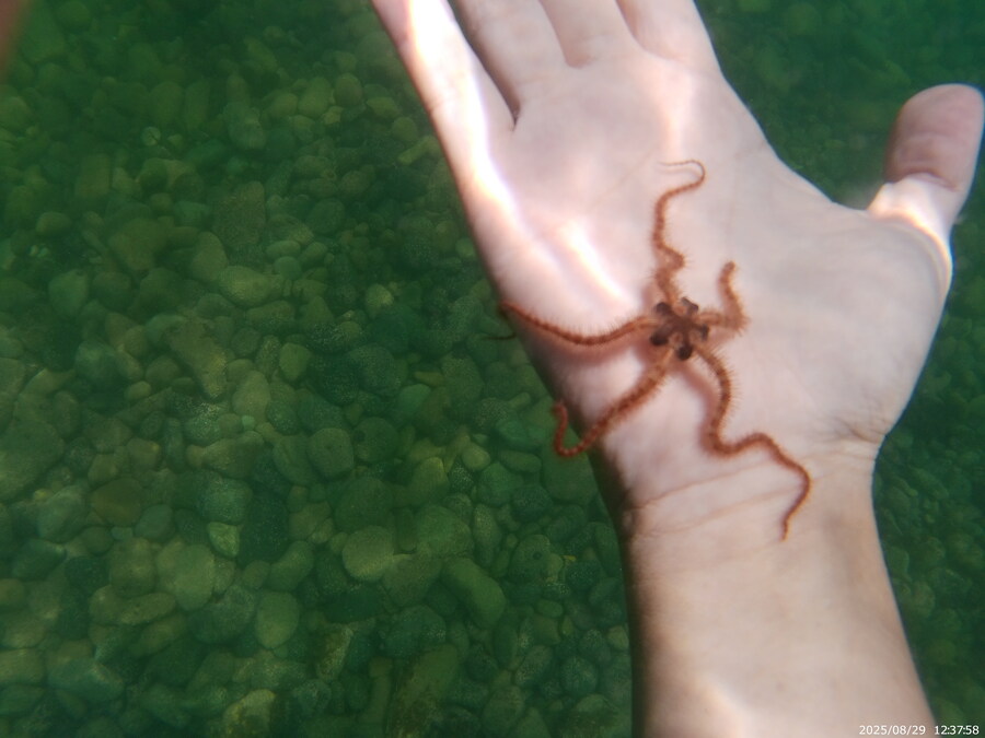 스압주의) 부산바다 스노클링 2탄_121.jpg