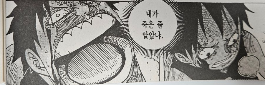원피스) 루피의 친구관과 리더관 이면의 두려움_54.jpg