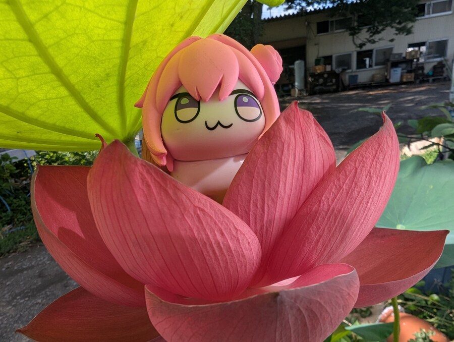 사람들이 잘 모르는 도로롱 출생의 비밀_1.jpg