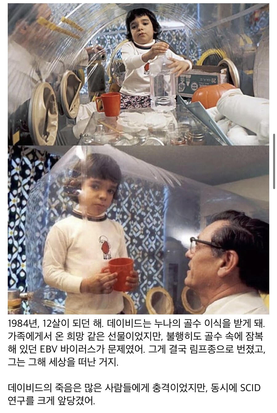 태어나자마자 무균실에서 자란 아이 이야기_4.jpg