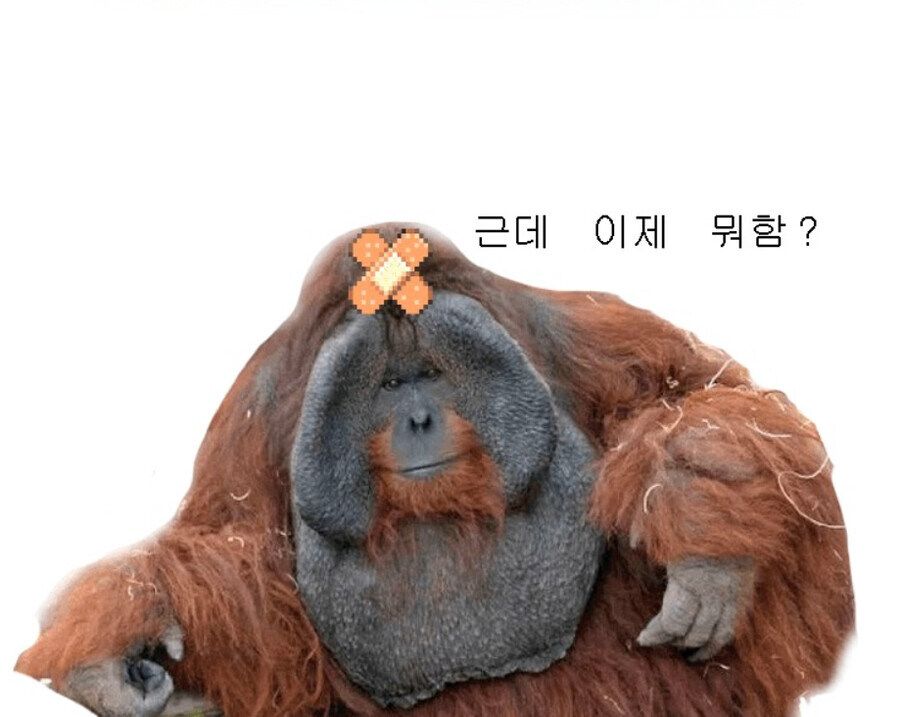 그래서 이제 뭐함?_1.jpg