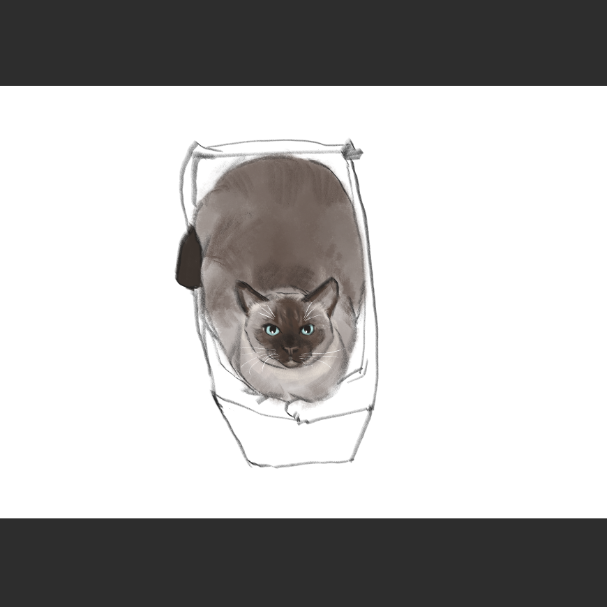 고양이) 넘으집 고양이_1.png