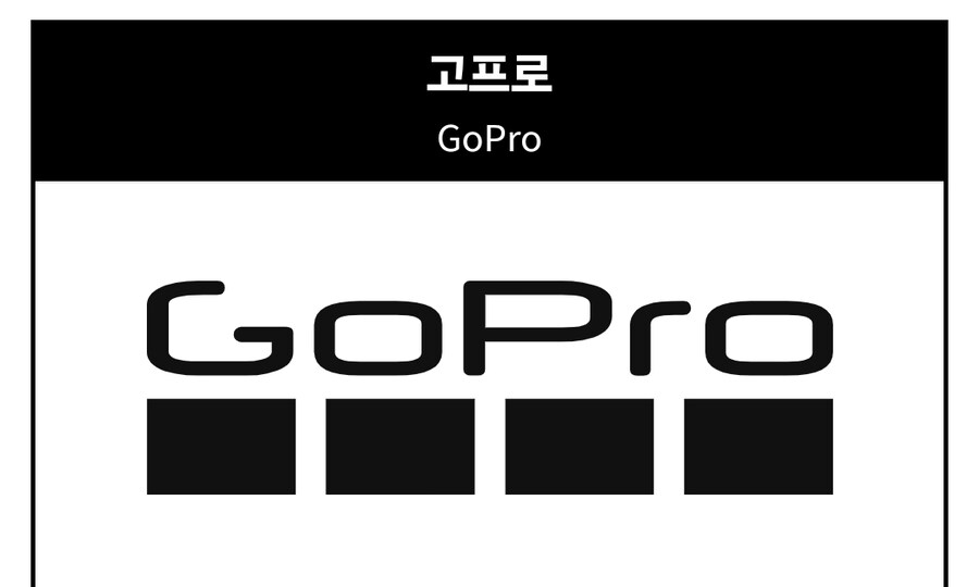 액션캠 시장은 중국업체들이 완전 장악한듯._1.jpg