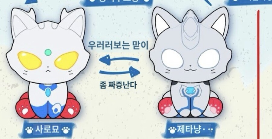 울트라맨)고양이화에서도 빠지지않은 관계_1.jpg
