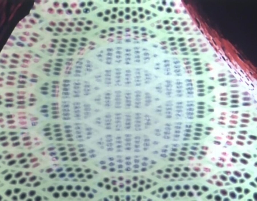 가오가이가)?? : 너 혼자서 뭘 할수 있겠냐?_3.jpg