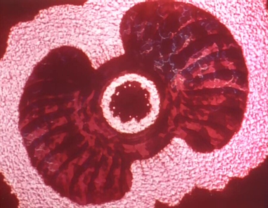 가오가이가)?? : 너 혼자서 뭘 할수 있겠냐?_11.jpg