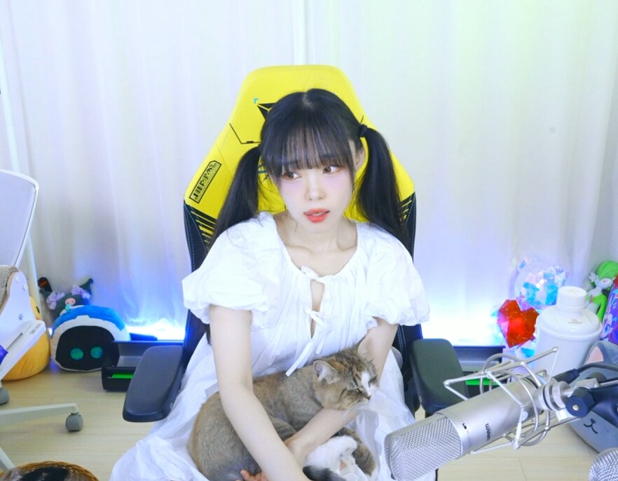 새봄TV] 여자 스트리머가 폐허에서 일어난일(고독방송)+하늘의궤적 1st_2.png