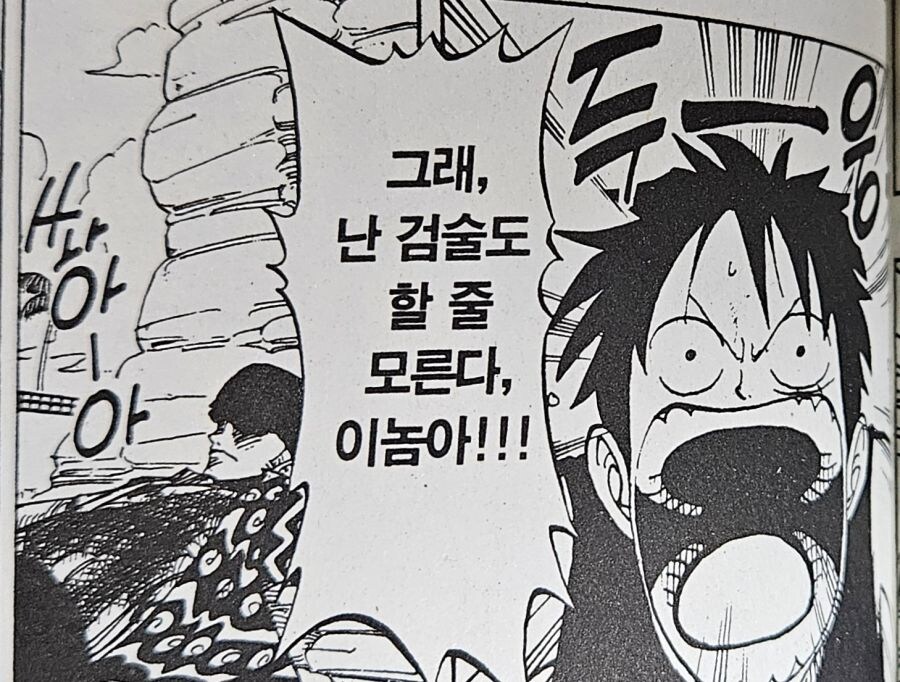 몽키 d 루피가 해적을 하는 이유 ㄷㄷㄷ_1.jpg