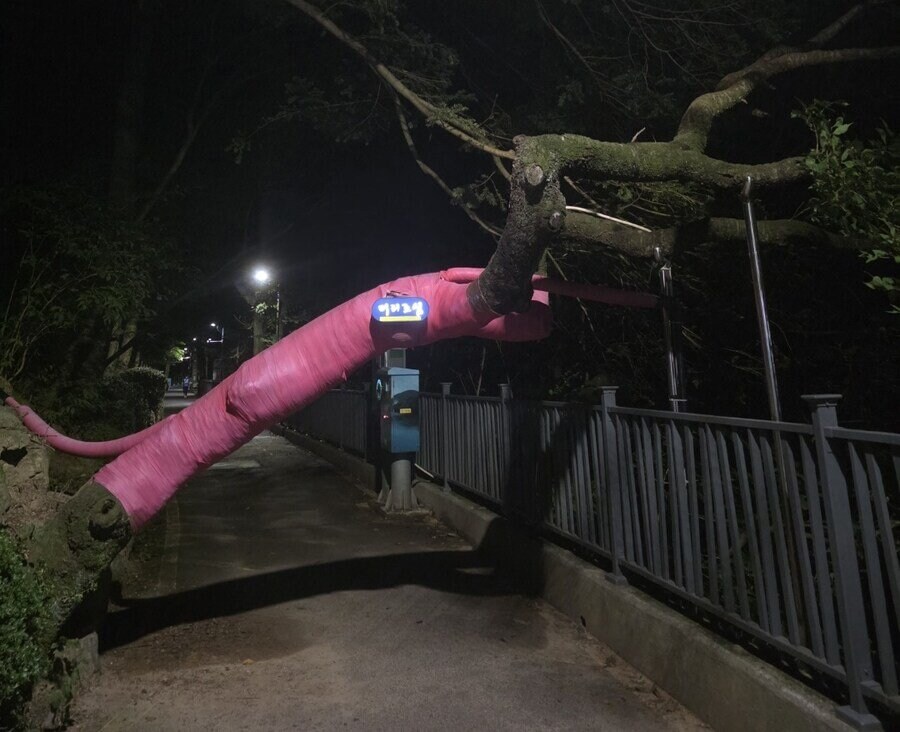 일진들에게 당한 학폭으로 21년째 트라우마 시달리는 남자.jpg_7.jpg
