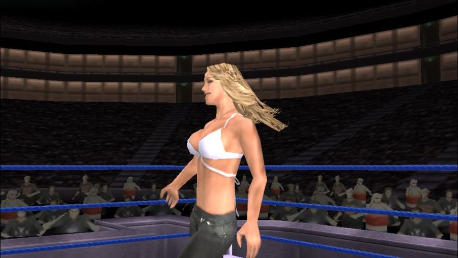 [레슬링게임]WWE 스맥다운vs로우 2006_8.jpg