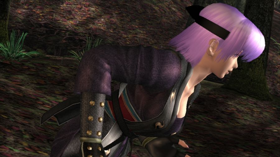 DEAD OR ALIVE 3_1.jpg