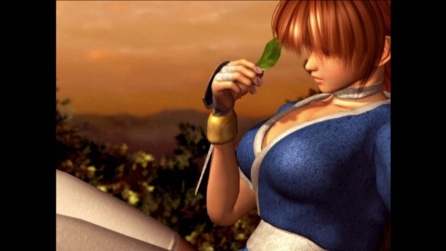 DEAD OR ALIVE 3_43.jpg