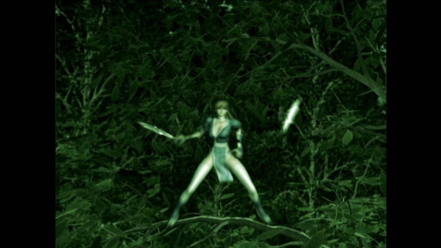 DEAD OR ALIVE 3_45.jpg