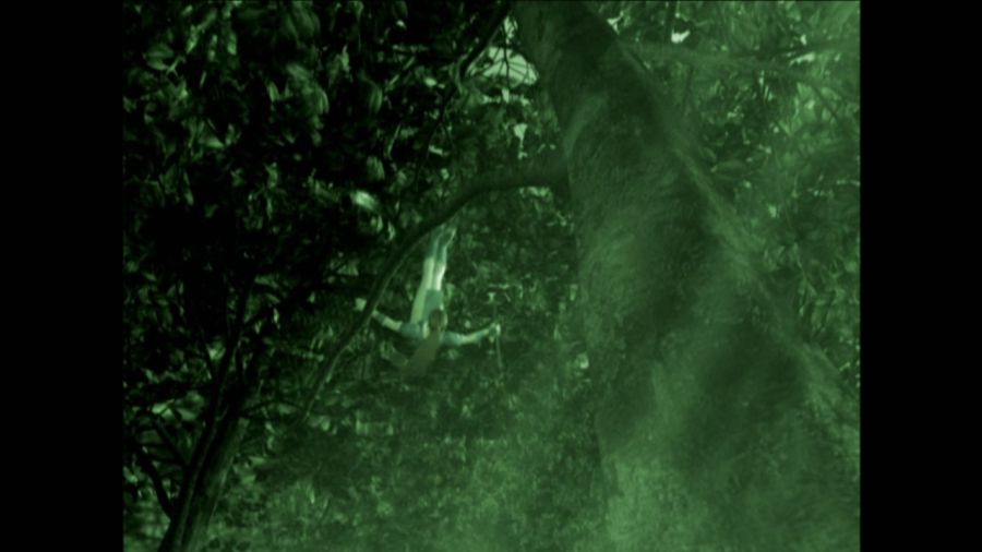 DEAD OR ALIVE 3_46.jpg