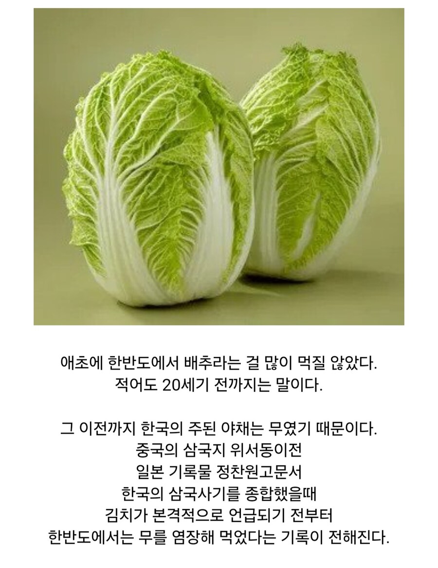 사실 역사가 100년 남짓밖에 안된 한국의 대표 음식_2.jpg