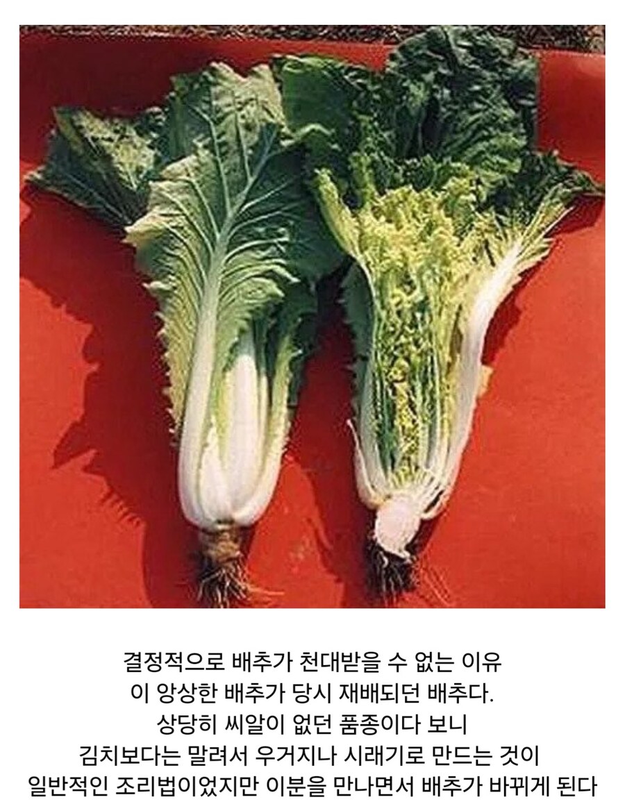 사실 역사가 100년 남짓밖에 안된 한국의 대표 음식_5.jpg