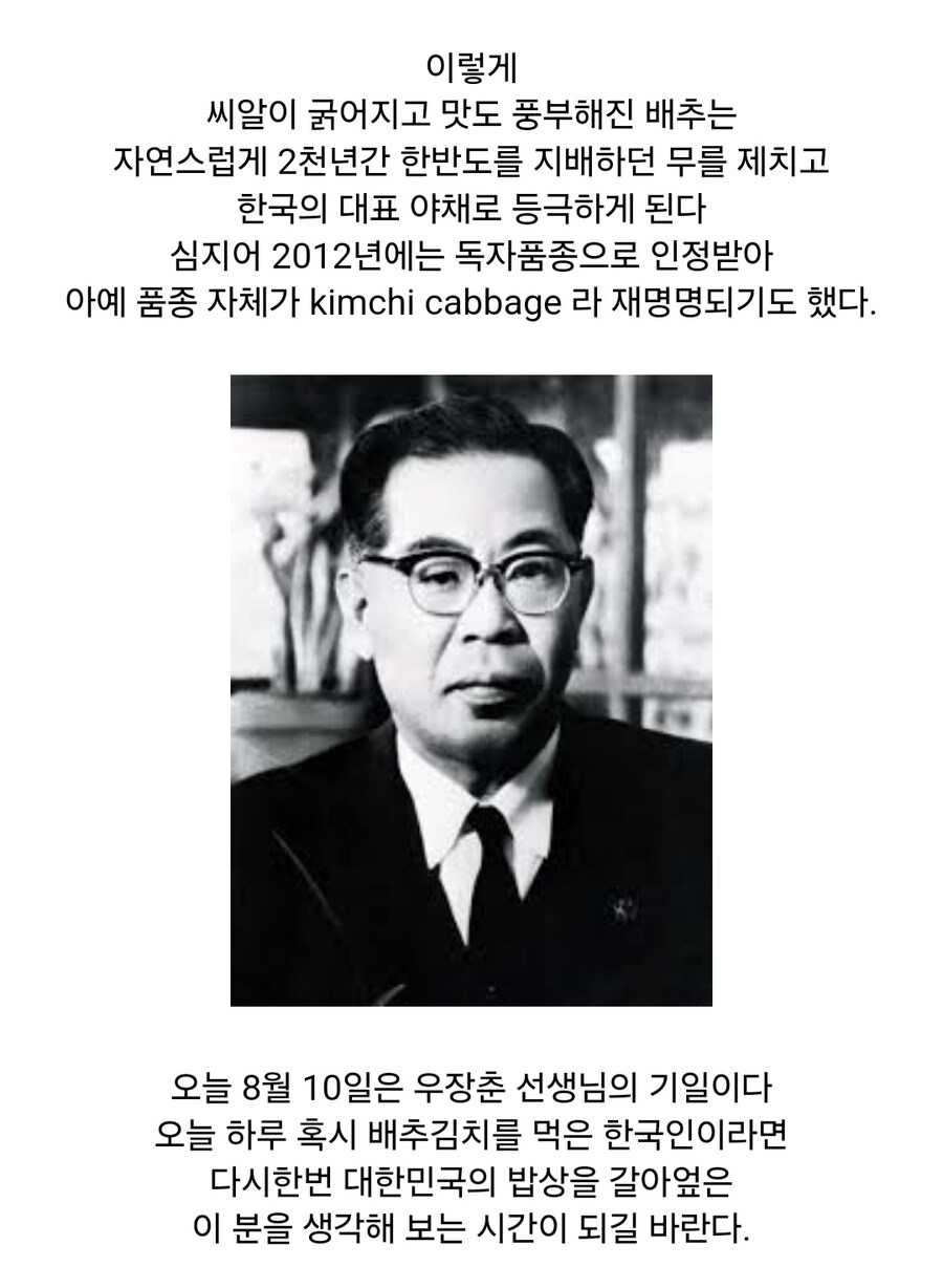 사실 역사가 100년 남짓밖에 안된 한국의 대표 음식_8.jpg